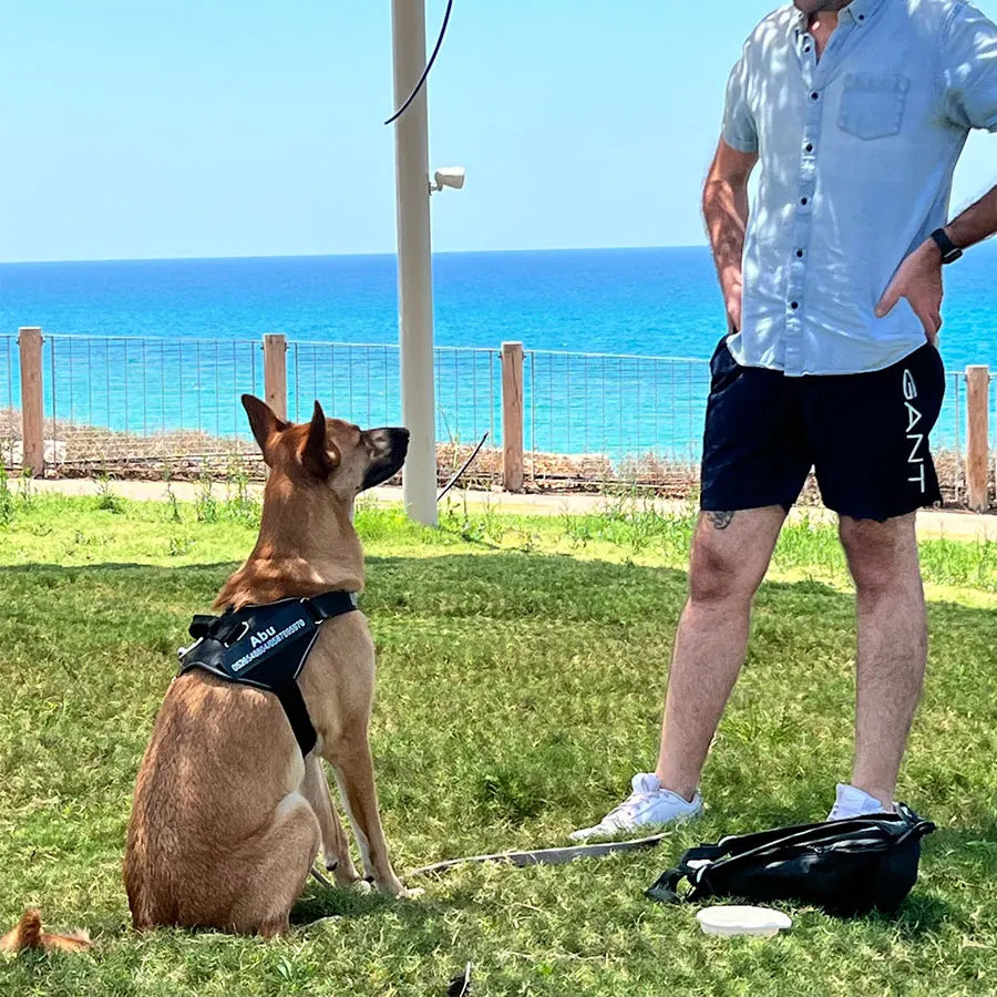 ShopTechPet™ Personalized No-Pull Dog Harness | Custom ID & Reflective Safety